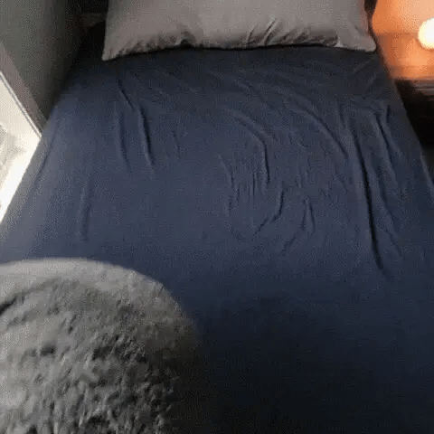 The Love Blanket™ - Cobertor íntimo impermeável